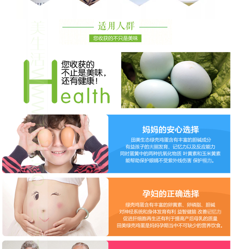 绿壳鸡蛋2_11.jpg
